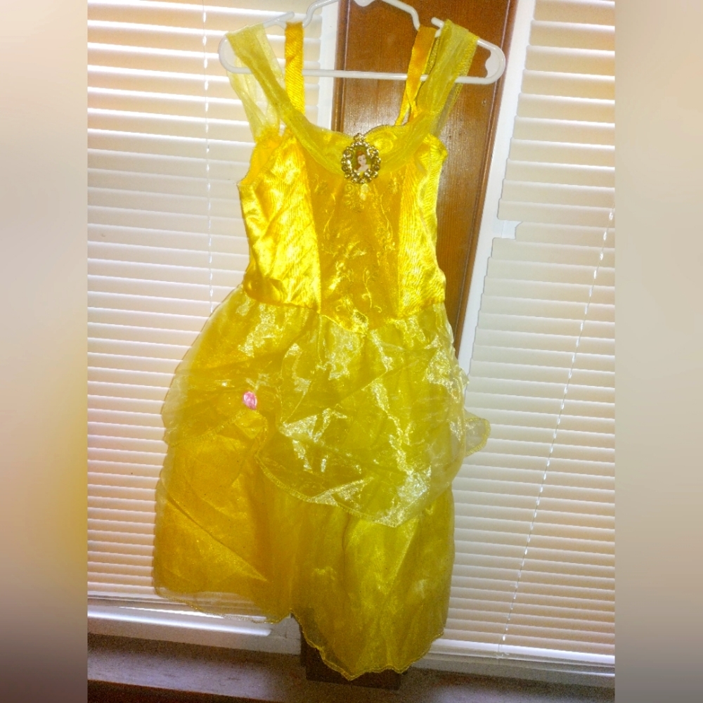 Belle From Beauty and The Beast Dress Costume